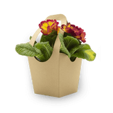 Flower basket