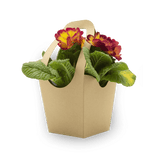 Sample: Flower basket