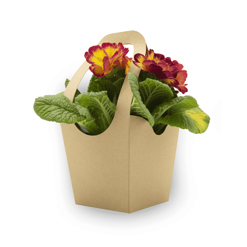 Sample: Flower basket